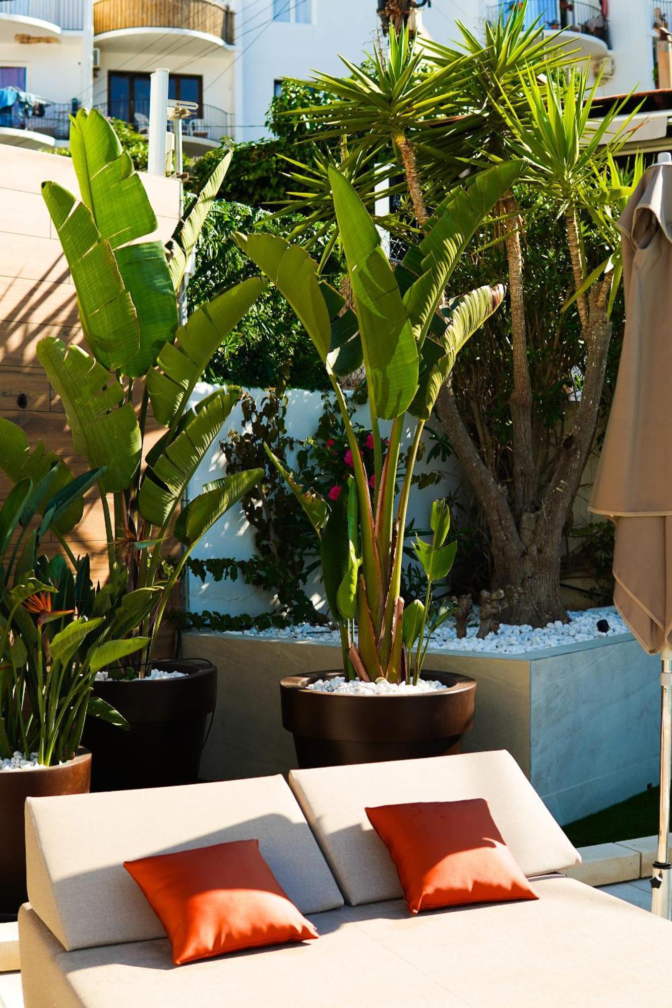 Typic Oasis Sa Tanca Apartamento Cala Llonga  Exterior foto